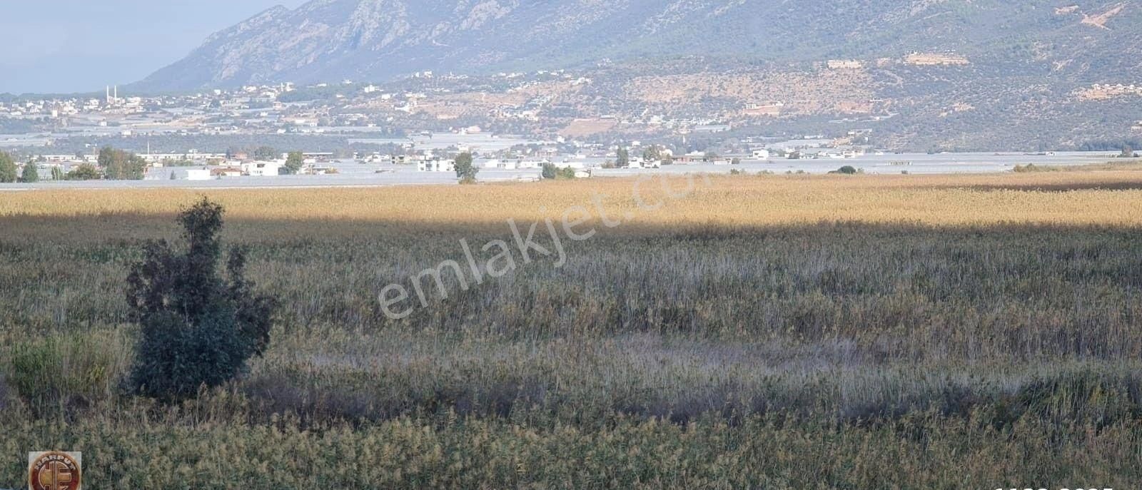 Acil İhtiyaçtan Kaş-üzümlüde 6.204m2 Sera Arsası - Görsel 8