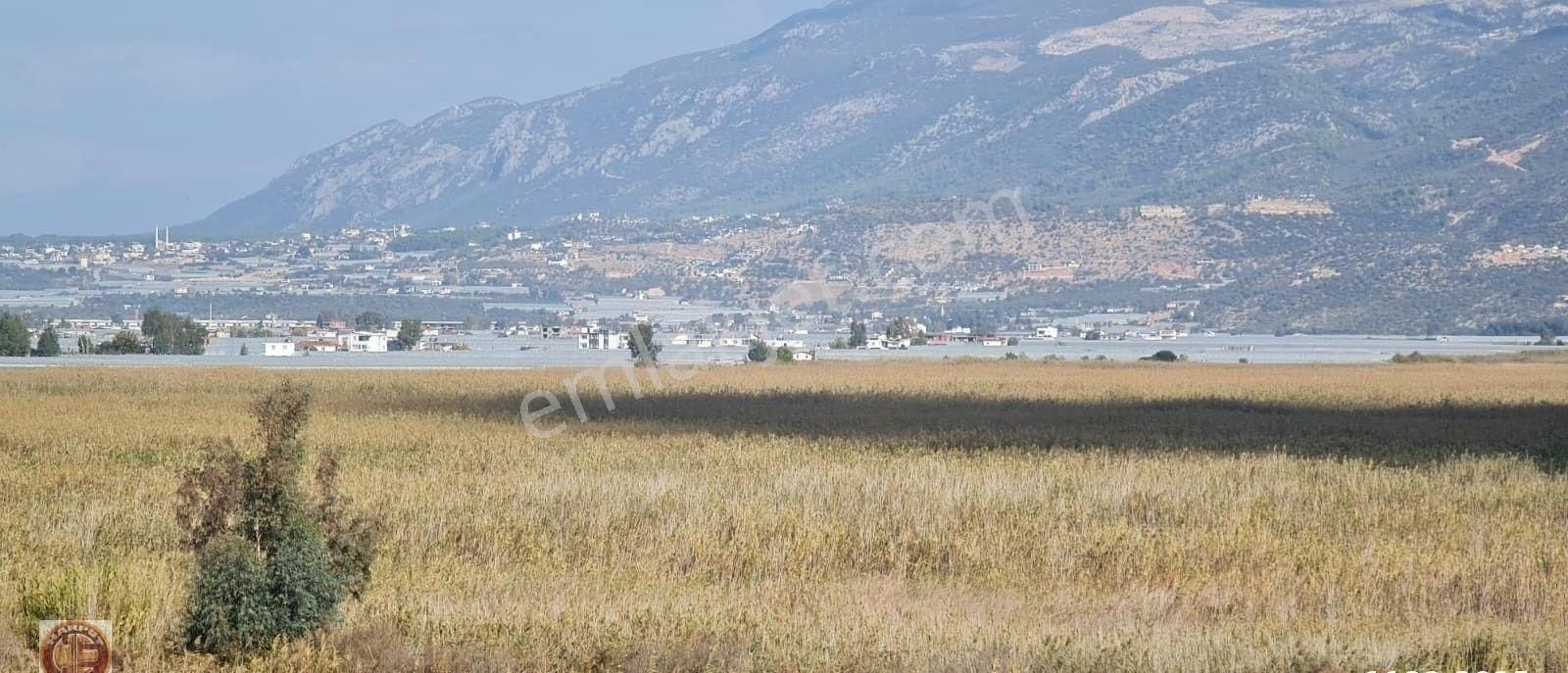 Acil İhtiyaçtan Kaş-üzümlüde 6.204m2 Sera Arsası - Görsel 4