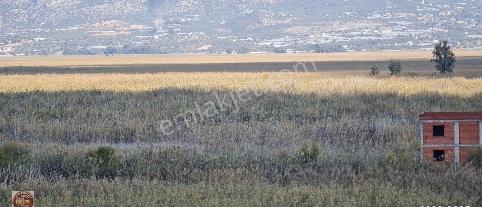 Acil İhtiyaçtan Kaş-üzümlüde 6.204m2 Sera Arsası - Görsel 15