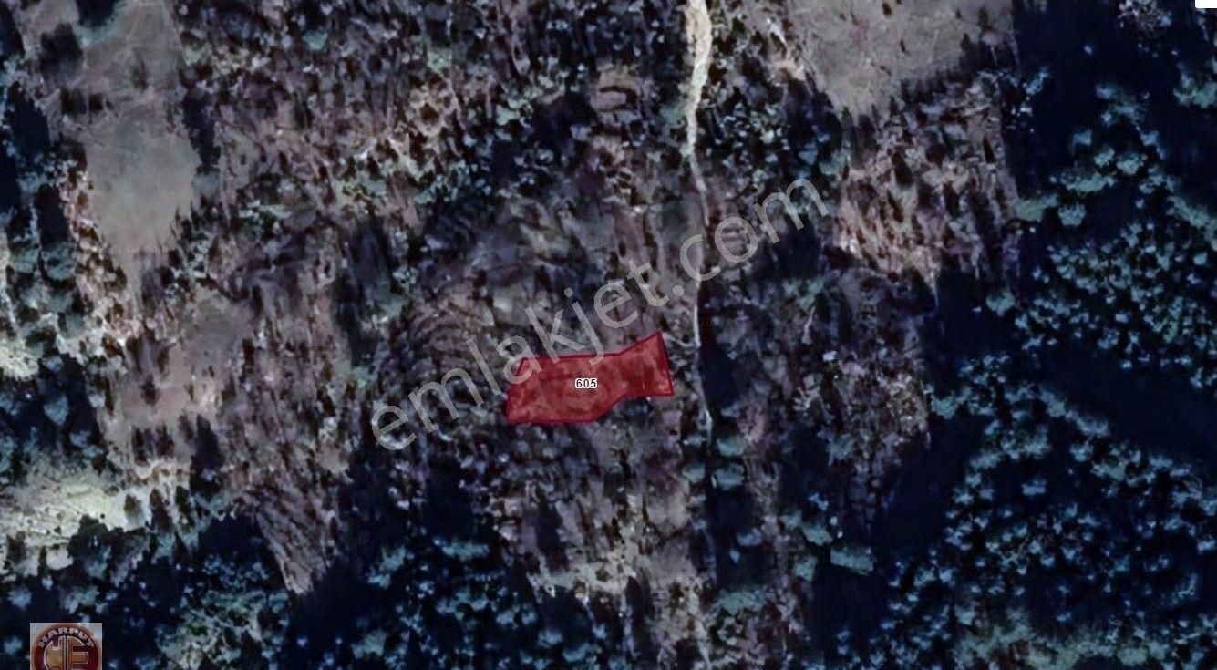 Acil İhtiyaçtan Sarıkaya Mah. 285m2 Orman İçinde Bahçe Yeri