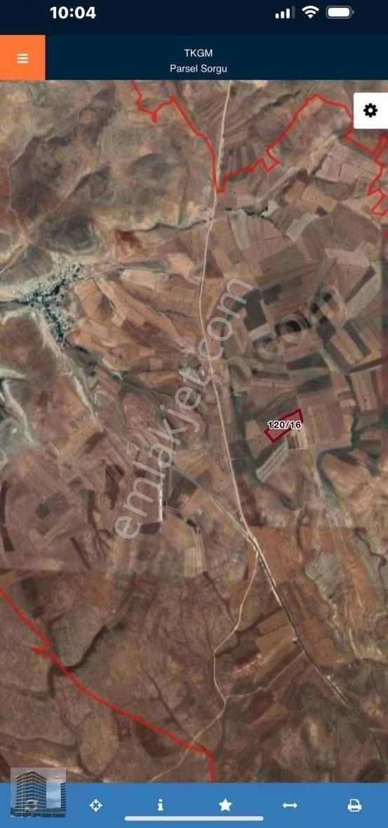 Sivas Merkez Porsuk Köyünde Satılık 30 Dönüm Tarla