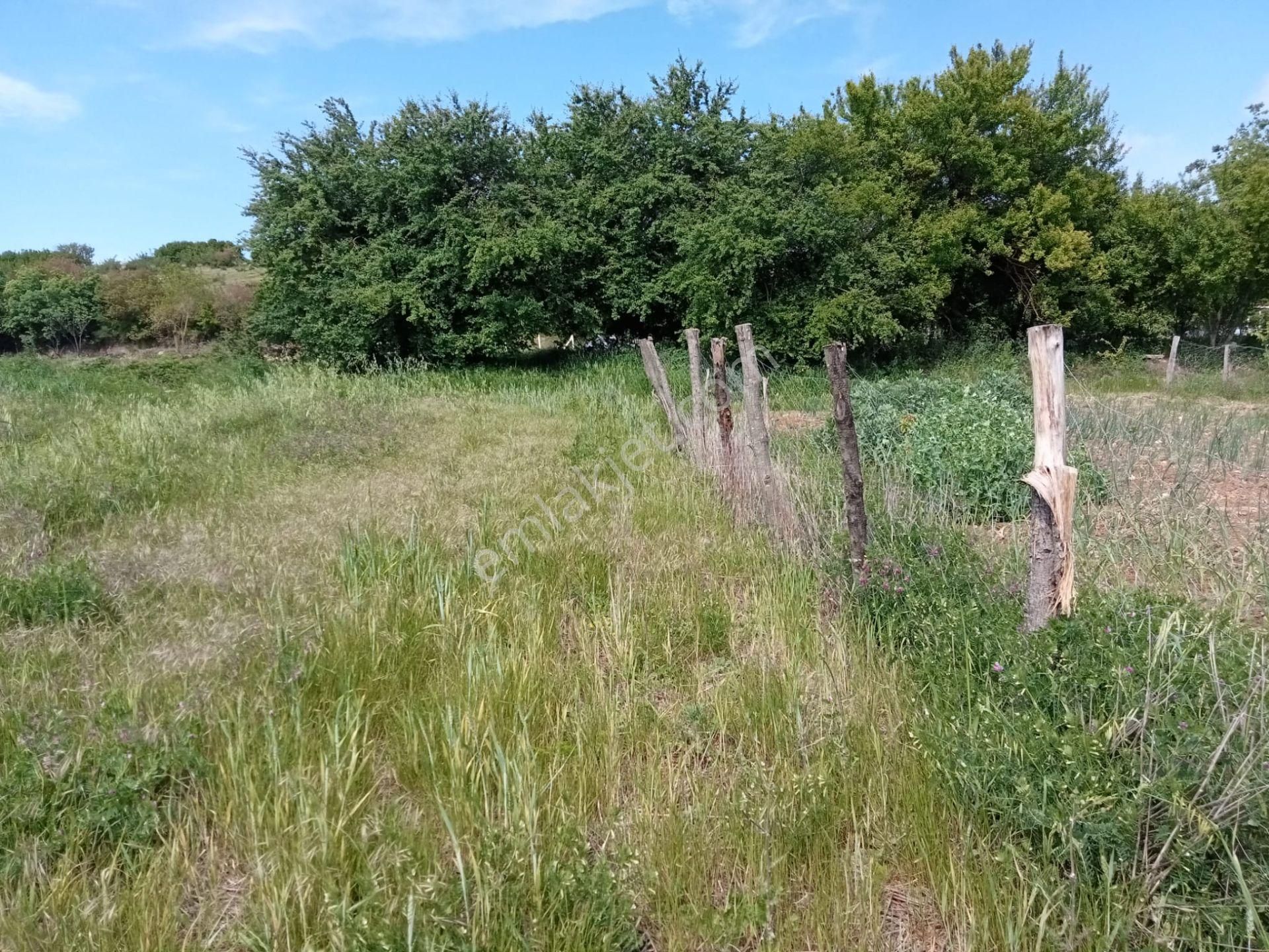 Kırklareli Vize Evrenli Köye Yakın Bağ-bahçe-hobi Bahçesi 289 M2 Parsel