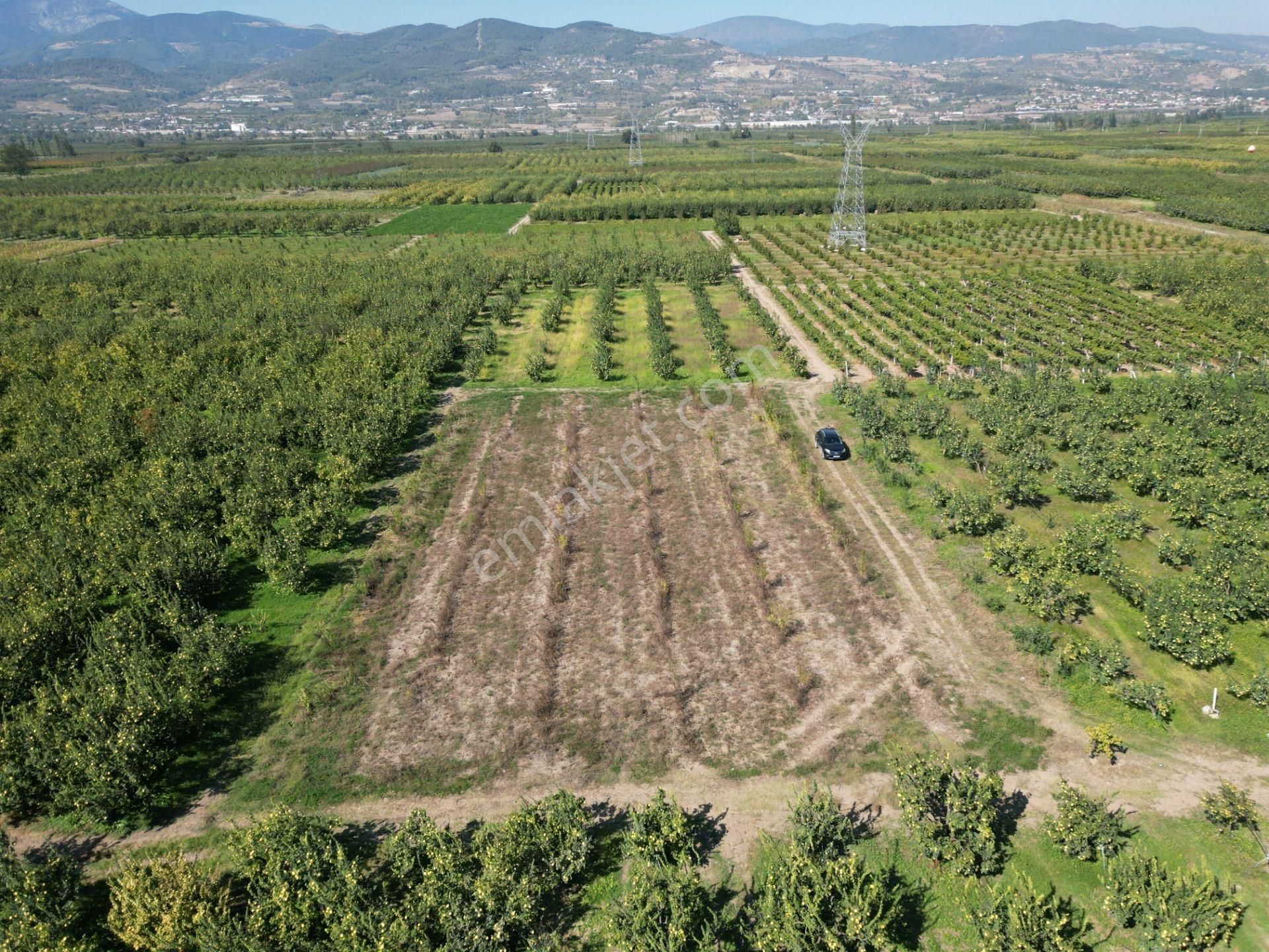 Sakarya Geyve Umurbey Mah. 2444,26 M2 Satılık Tarla