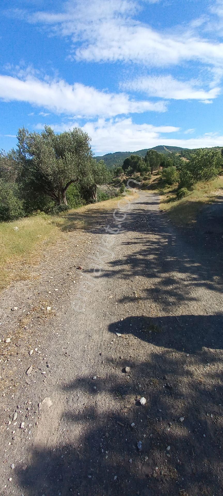 Satılık Müstakiltapu