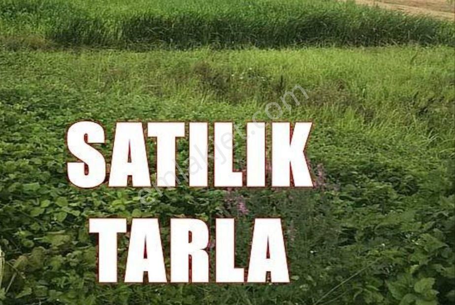 Tekirdağ Süleymanpaşa İlçesi Yavuz Mahallesinde 4902 Metrekare Satılık Tarla