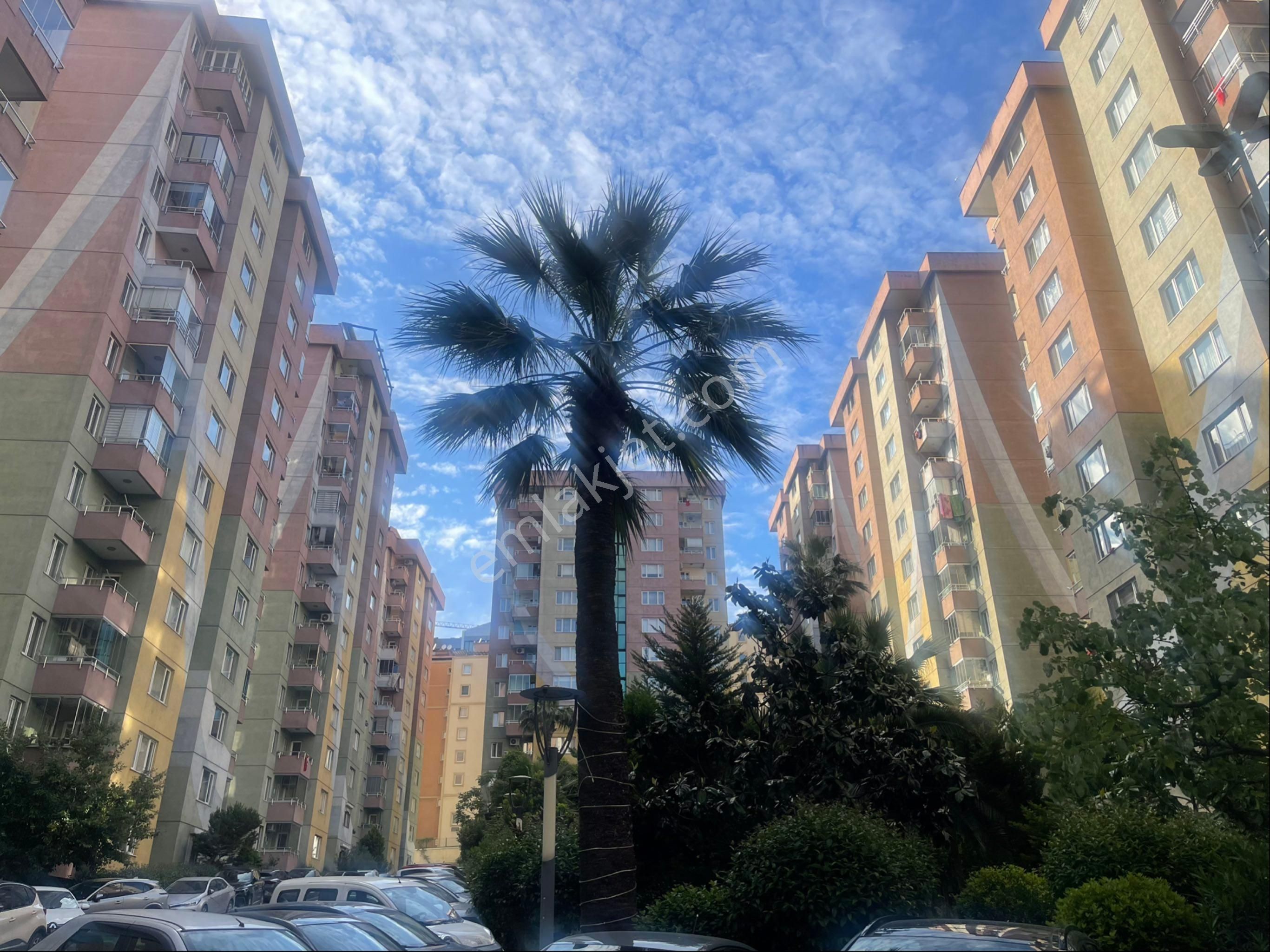Şelale Evleri'nde Yenilenmiş 3+1 Satılık Daire