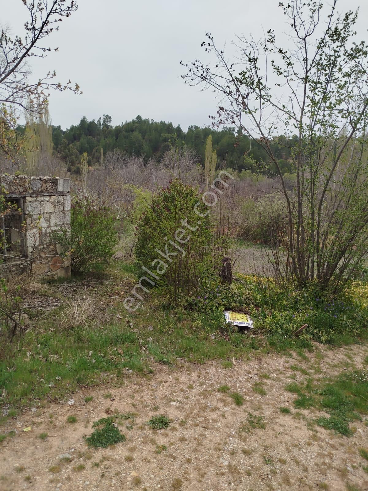 Çameli Cevizli De 473 M2 Arsa Satılık