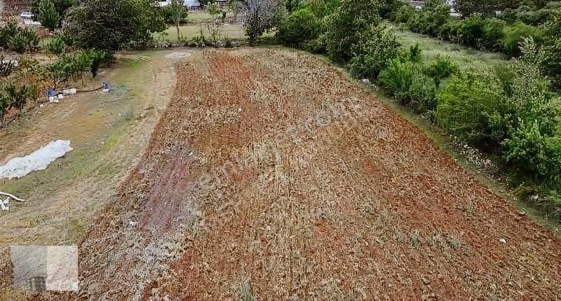 Mehmet Kurubaş Emlak'tan Yuva Mah.2390 M2 Satılık Tarla - Görsel 4