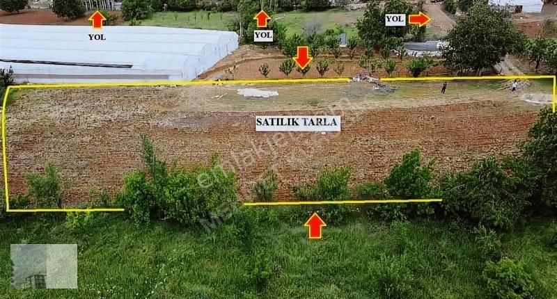 Mehmet Kurubaş Emlak'tan Yuva Mah.2390 M2 Satılık Tarla - Görsel 5