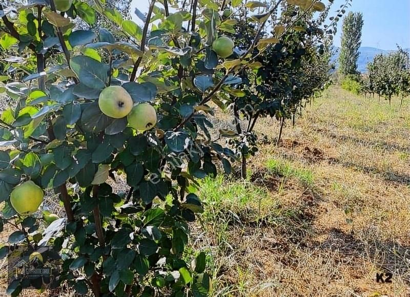 Kuşadası Çınar Yolunda Yola Cepheli 15 Dönüm Arazi Çiftlik Evi - Görsel 13