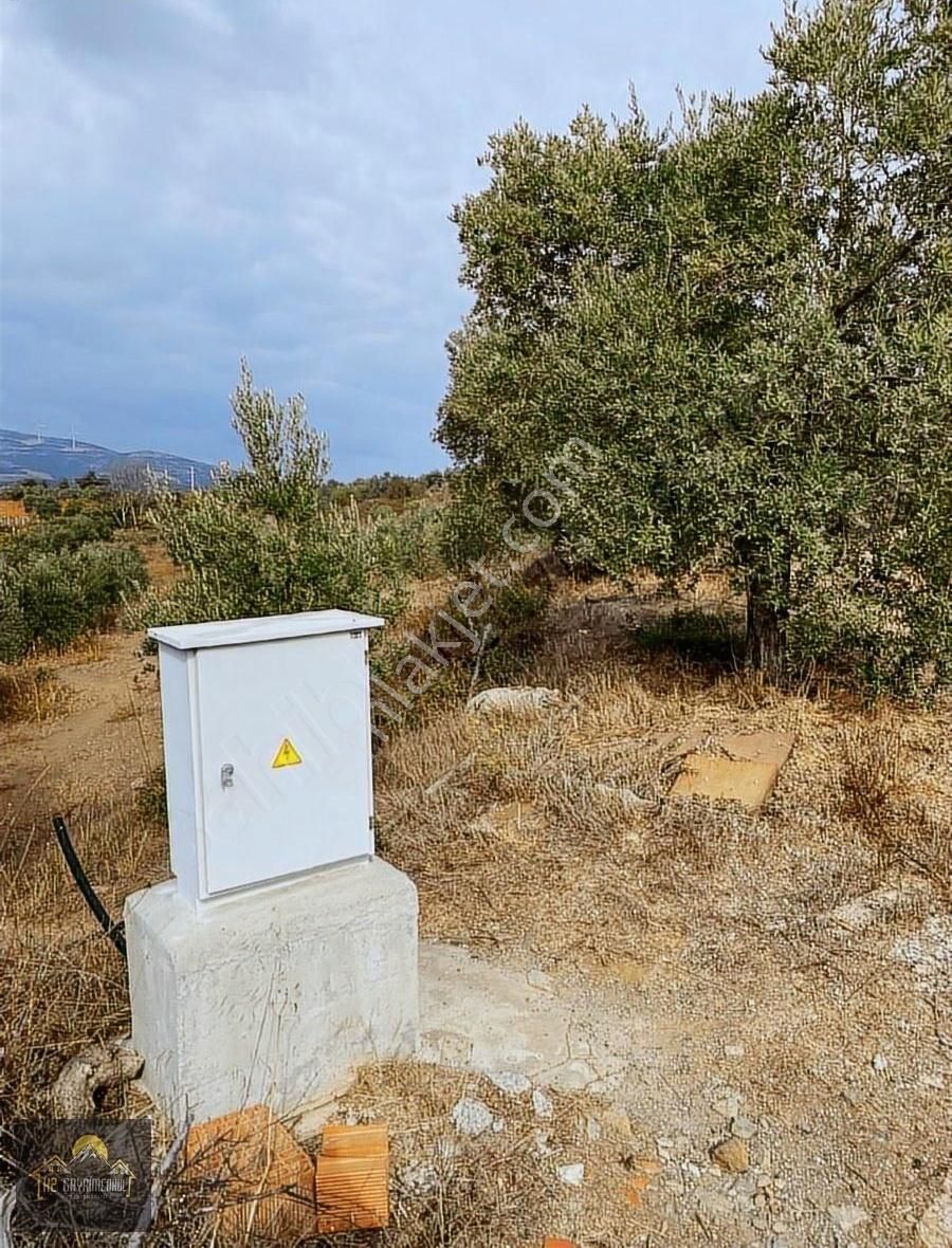 Kuşadası Çınar Yolunda Yola Cepheli 15 Dönüm Arazi Çiftlik Evi - Görsel 10