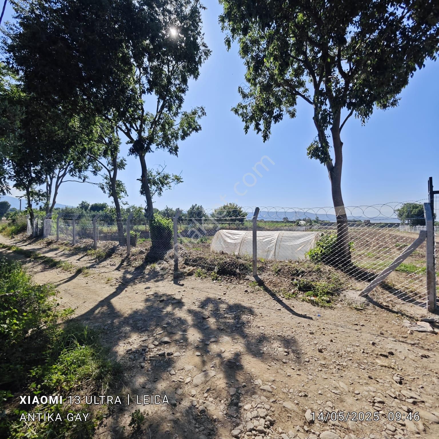 Antika Gayrimenkul'den Ödemiş Küçükavulcuk Mh. Kiralık Tarla - Görsel 7