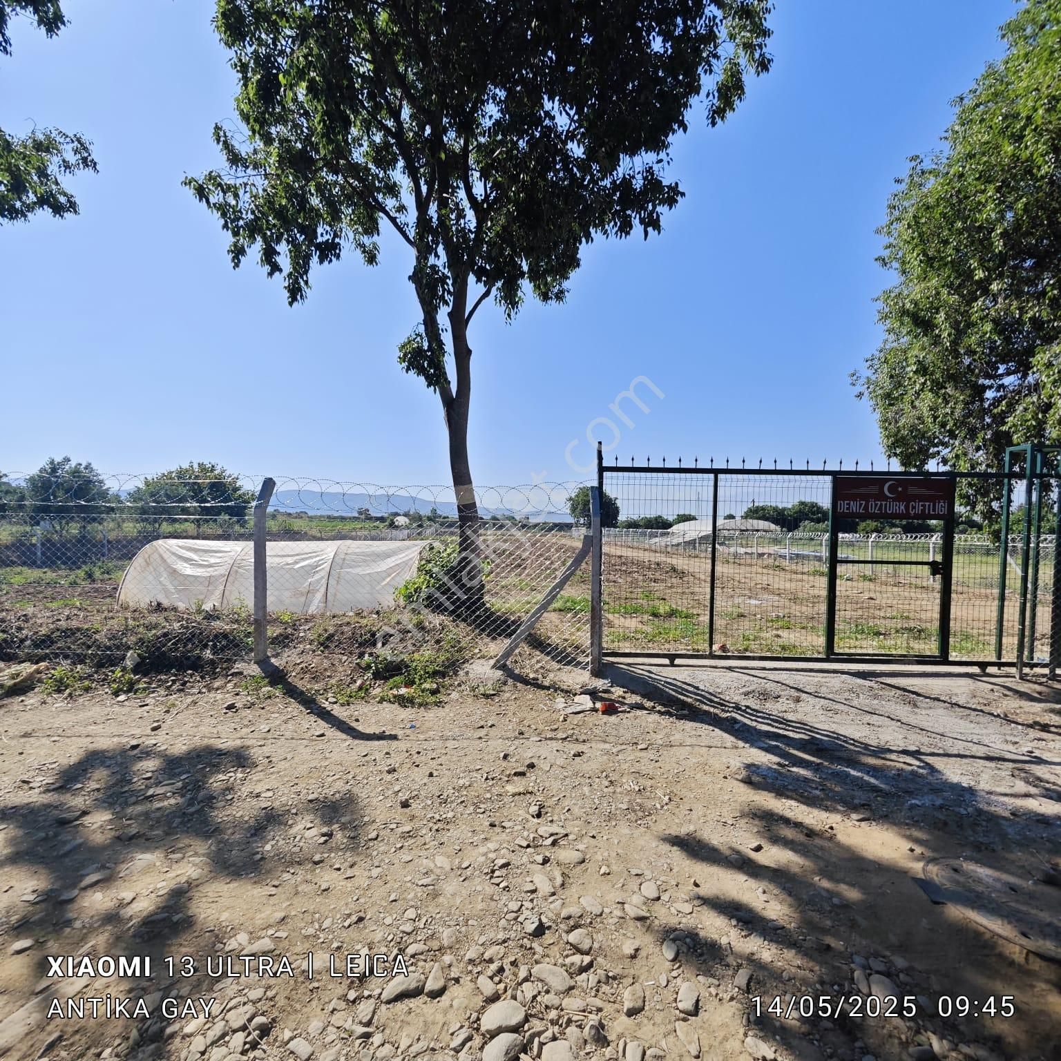 Antika Gayrimenkul'den Ödemiş Küçükavulcuk Mh. Kiralık Tarla - Görsel 8