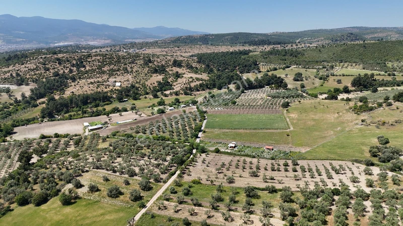 Turpa/alfa'dan Yağcılar'da 483m2. İmarlı Arsa