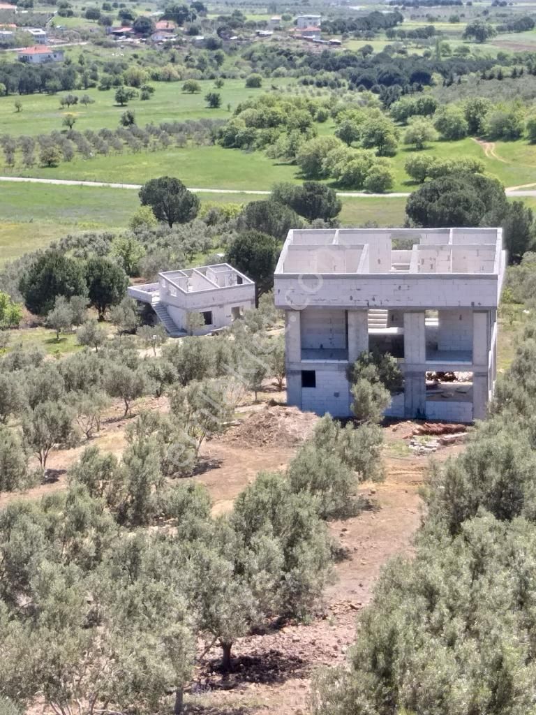 ✅türkiye’nin En Güzel Yeri İzmir Dikili’de Satılık Zeytinlik - Görsel 8