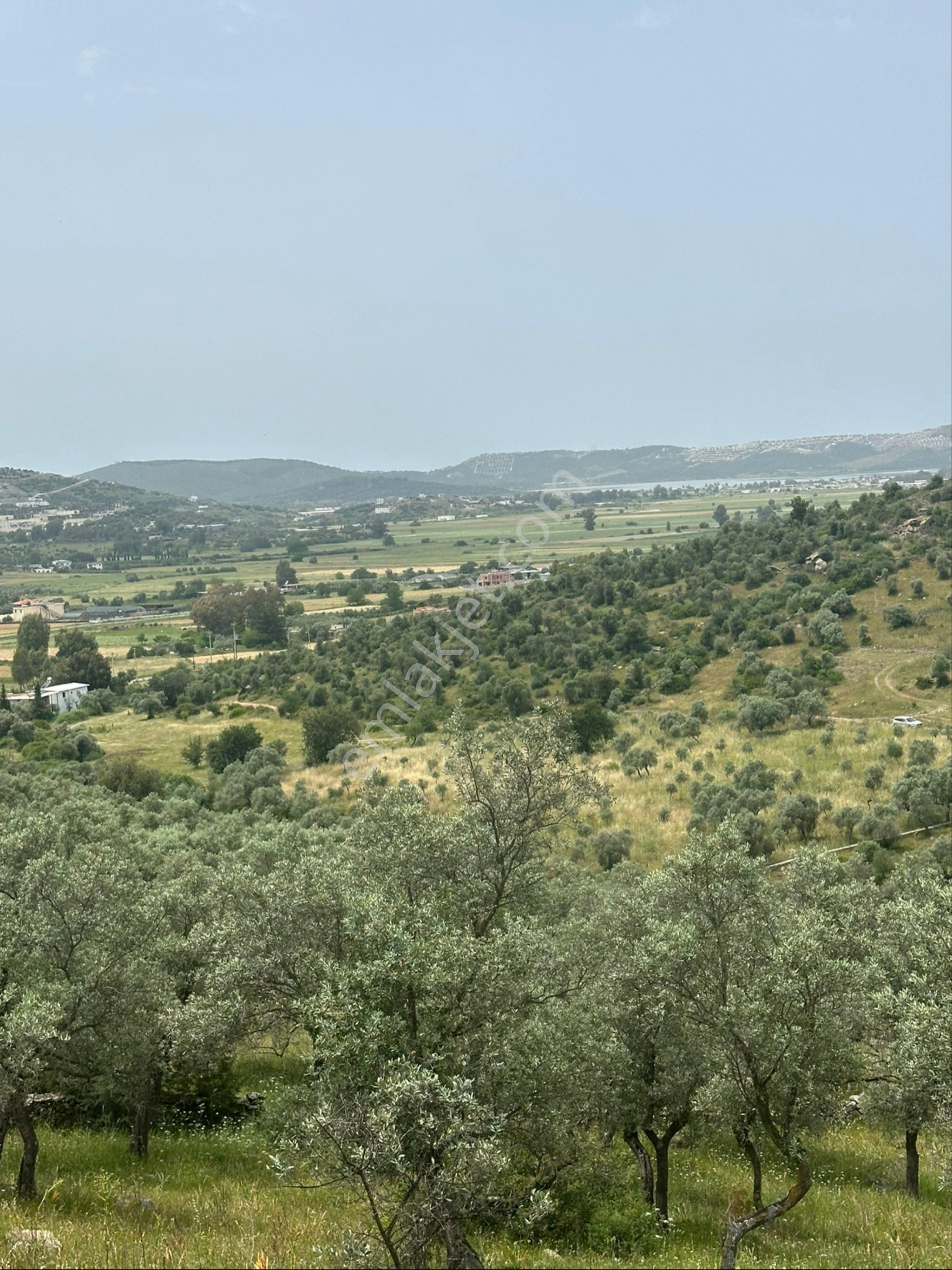 Akıllı Yatırım Hızlı Kazanç - Görsel 5