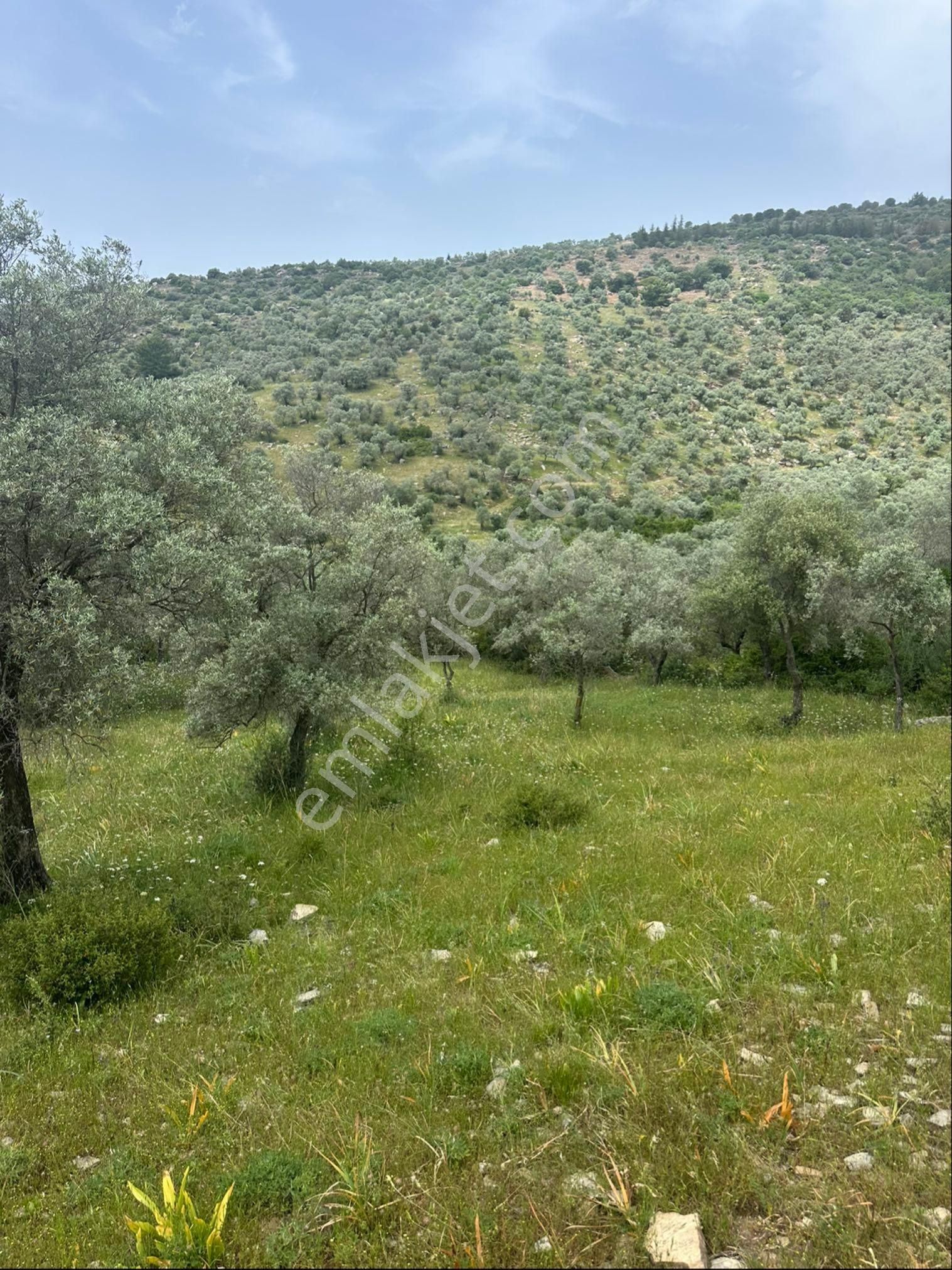 Akıllı Yatırım Hızlı Kazanç - Görsel 7