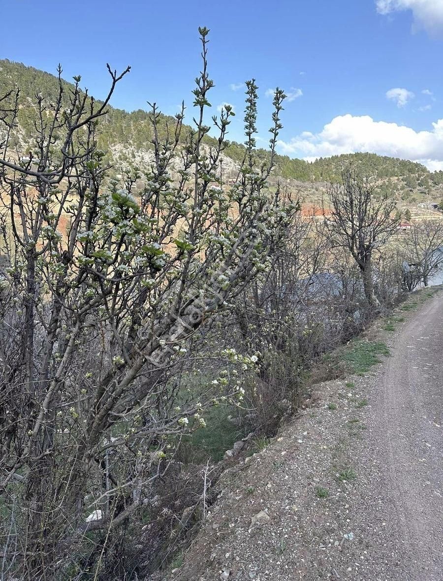 Alanya Çayarasında Satılık 725 M2 Tarla