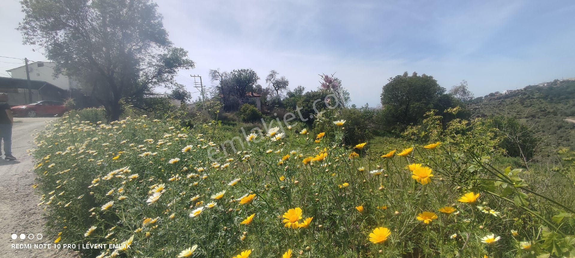 Milas Dörttepe'de Göl Ve Kısmen Deniz Manzaralı Satılık İki Villalık Arsa - Görsel 7