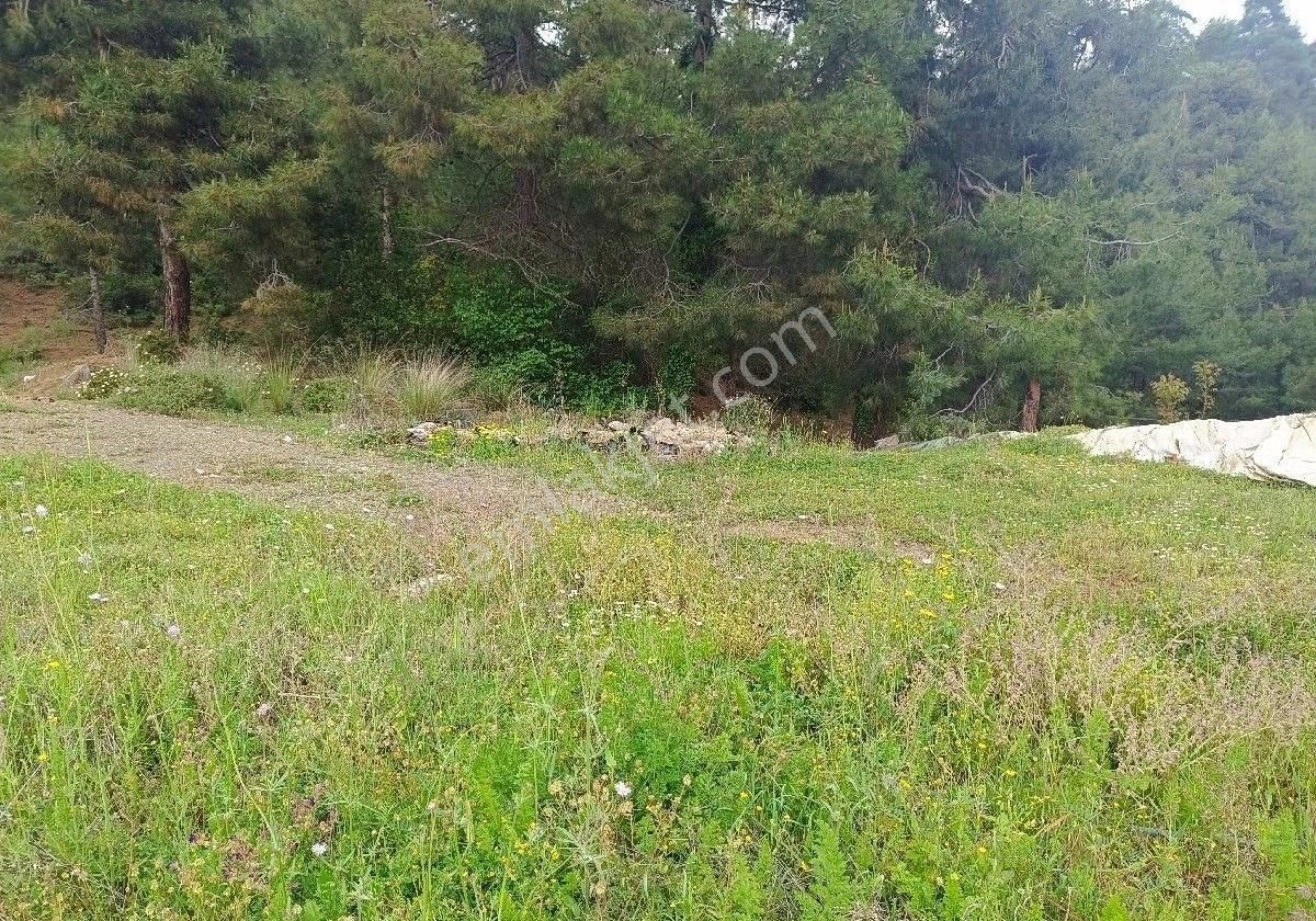 Satılık Yaylalık Arsa