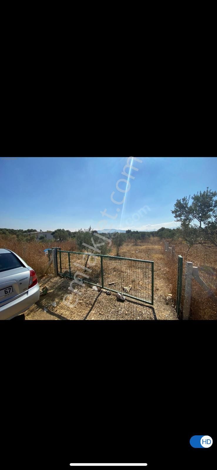 Mimoza Gayrimenkul'den Saiplerde 252m2 Zeytinlik