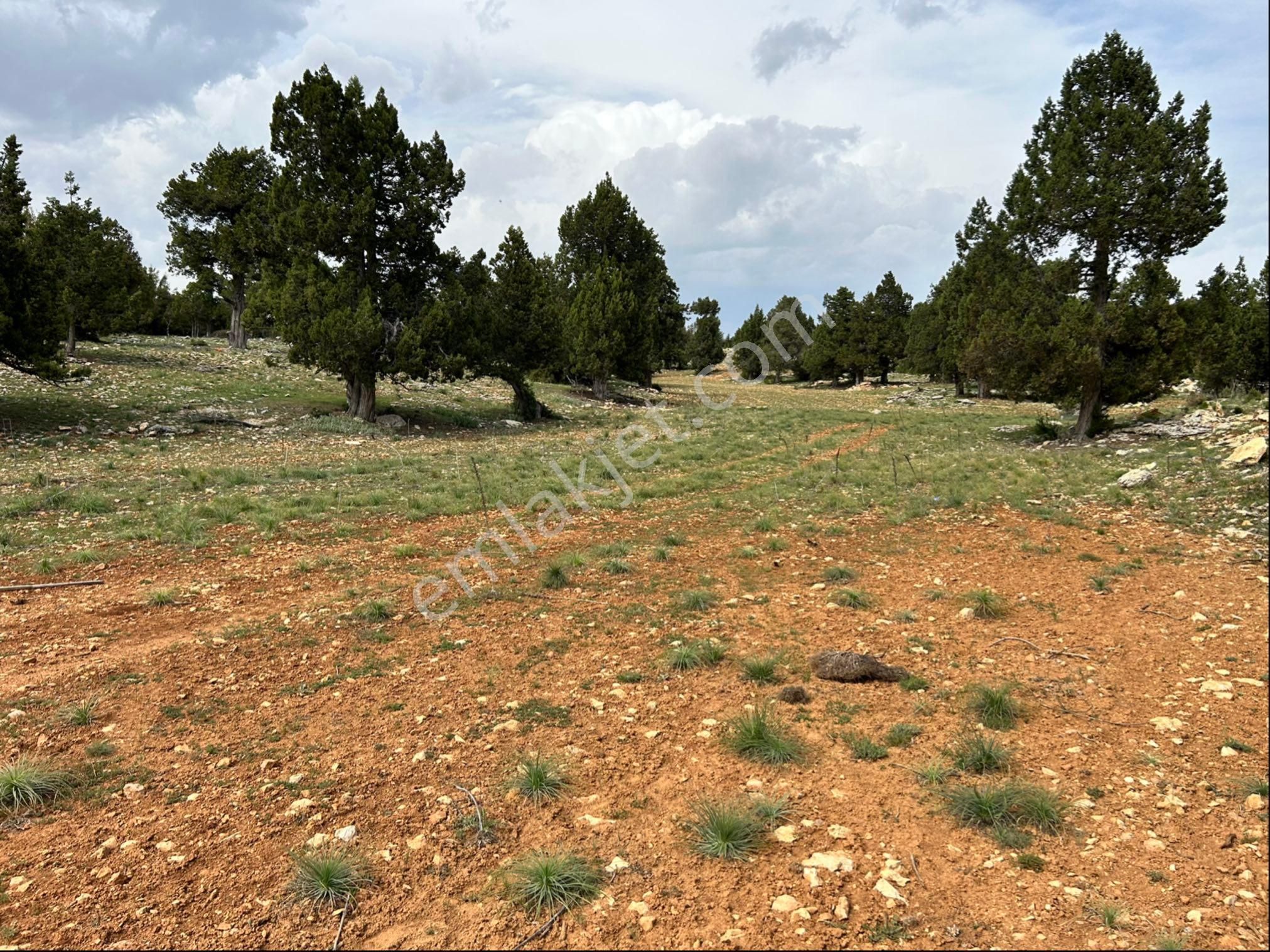 Güzeloluk Yolunda Avgadıya 5 Dk Mesafede 4300 M2 Yer - Görsel 12