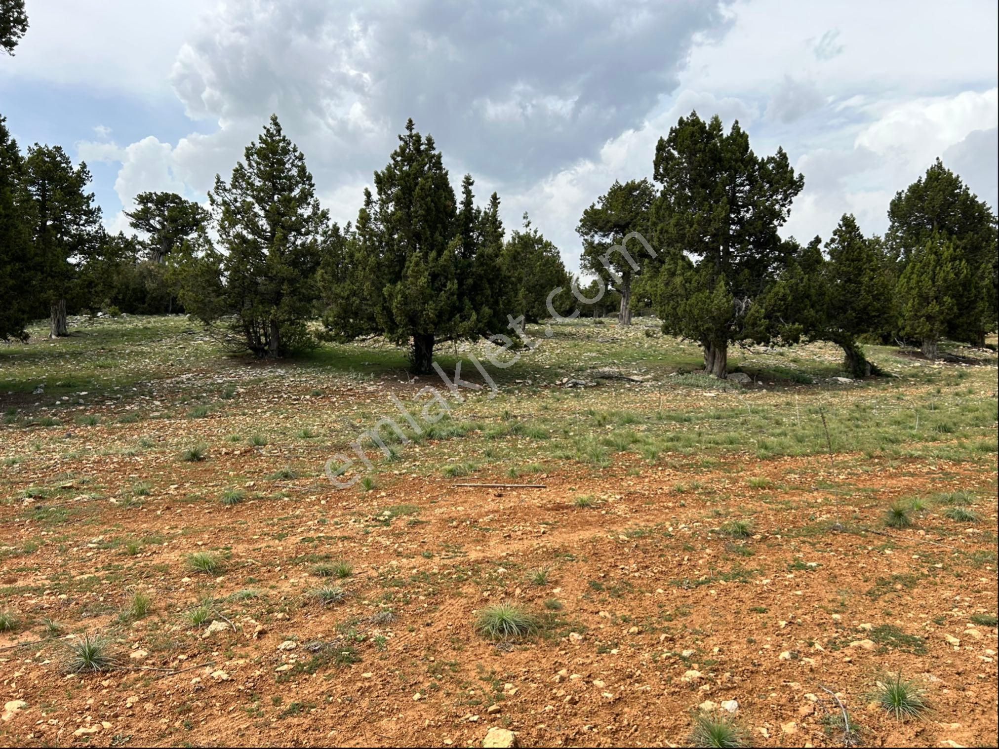 Güzeloluk Yolunda Avgadıya 5 Dk Mesafede 4300 M2 Yer - Görsel 13