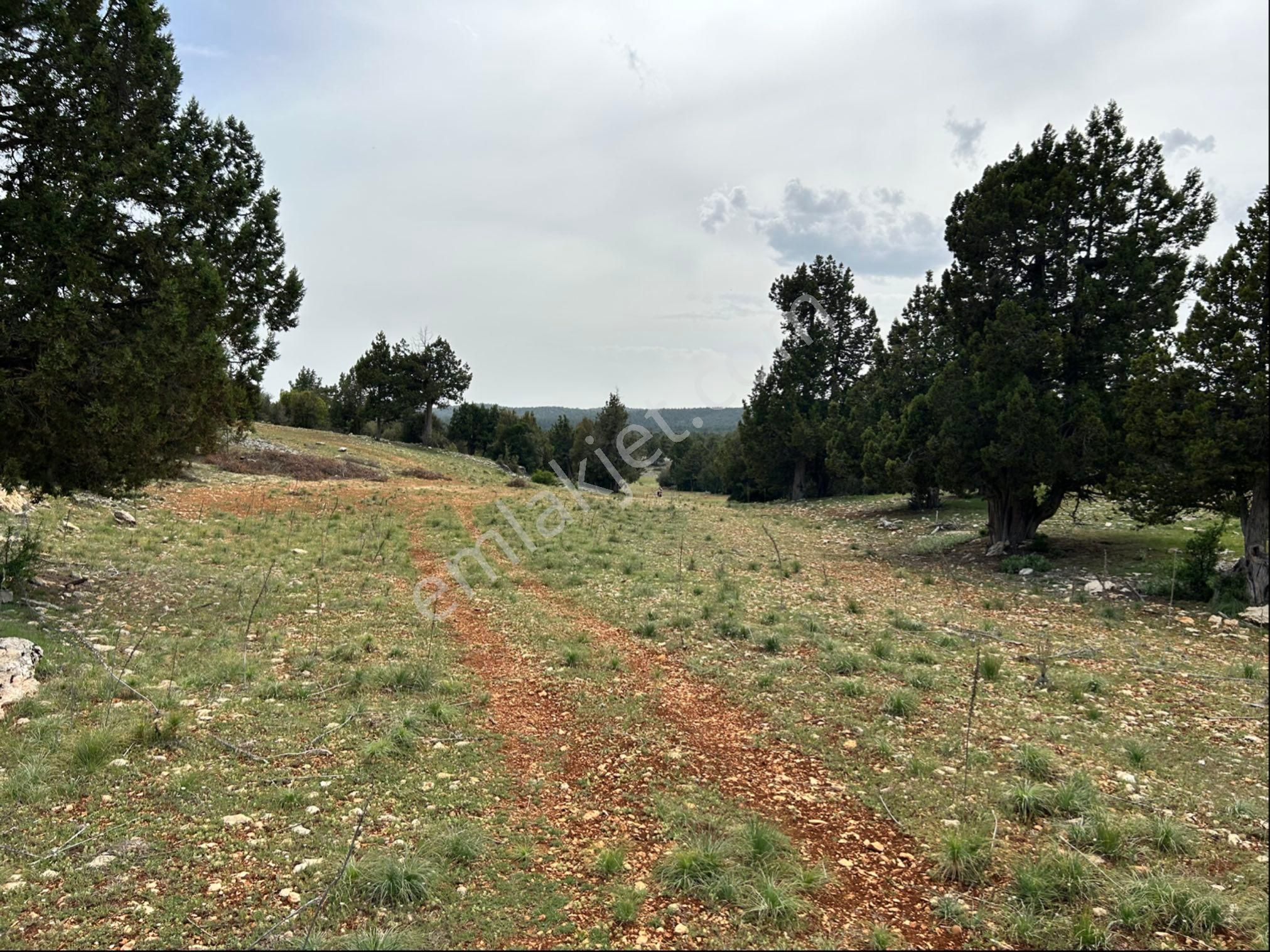 Güzeloluk Yolunda Avgadıya 5 Dk Mesafede 4300 M2 Yer - Görsel 18