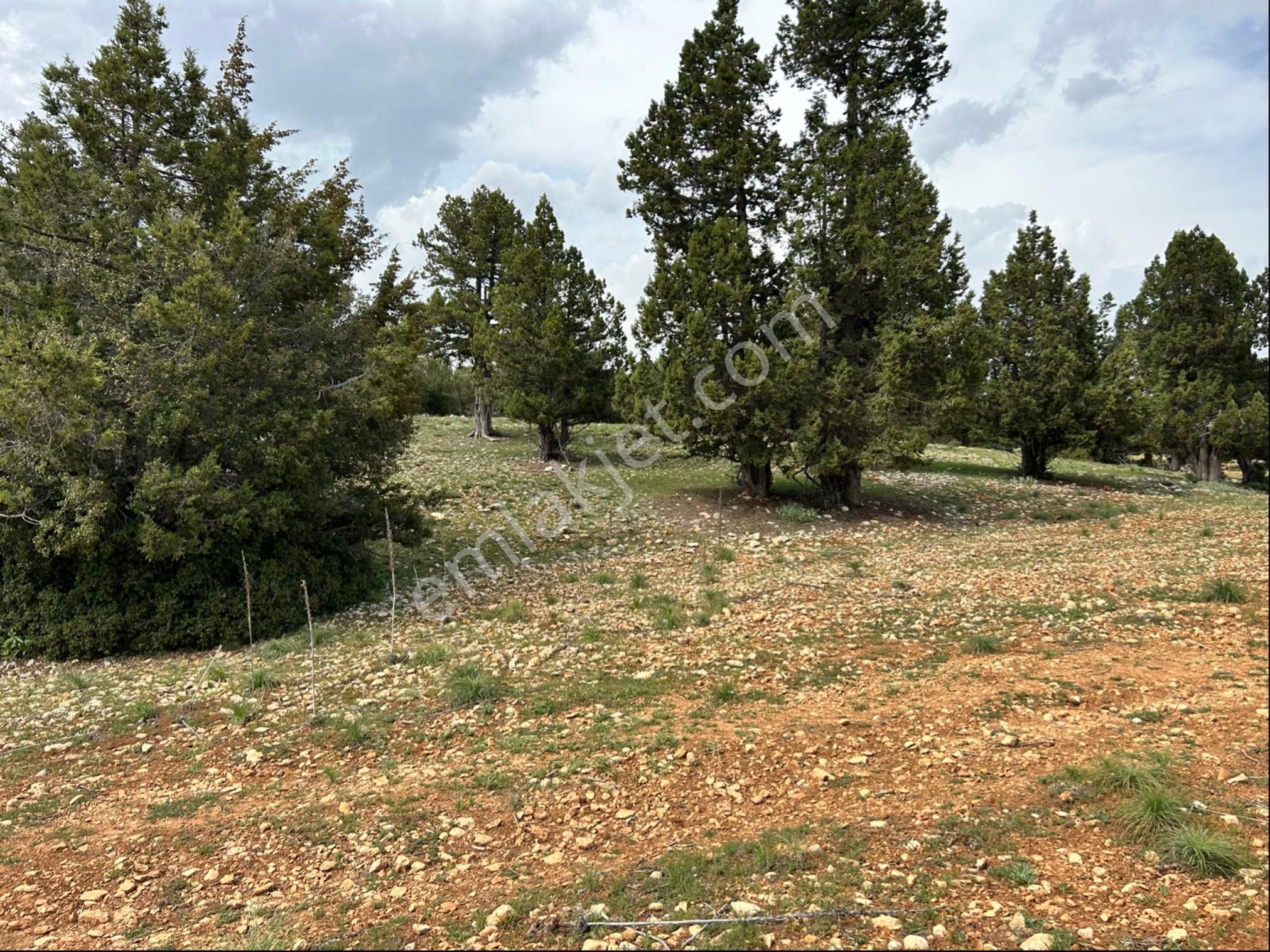 Güzeloluk Yolunda Avgadıya 5 Dk Mesafede 4300 M2 Yer - Görsel 10