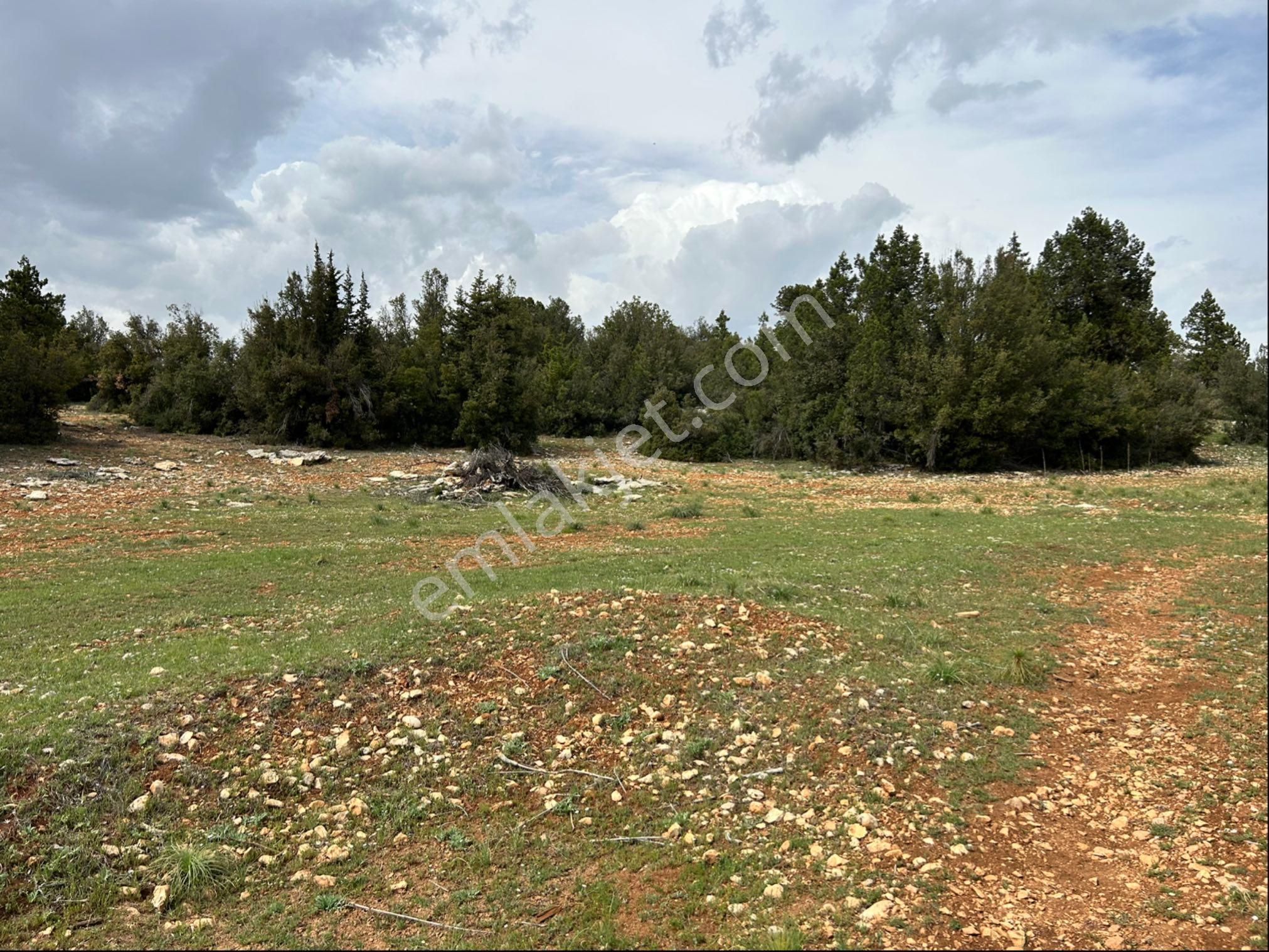 Güzeloluk Yolunda Avgadıya 5 Dk Mesafede 4300 M2 Yer - Görsel 5