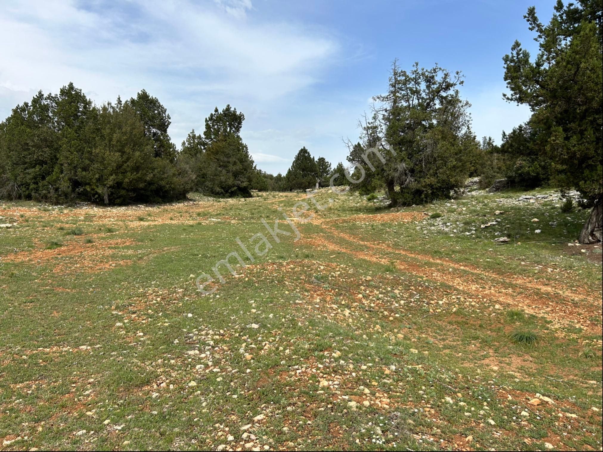 Güzeloluk Yolunda Avgadıya 5 Dk Mesafede 4300 M2 Yer - Görsel 2