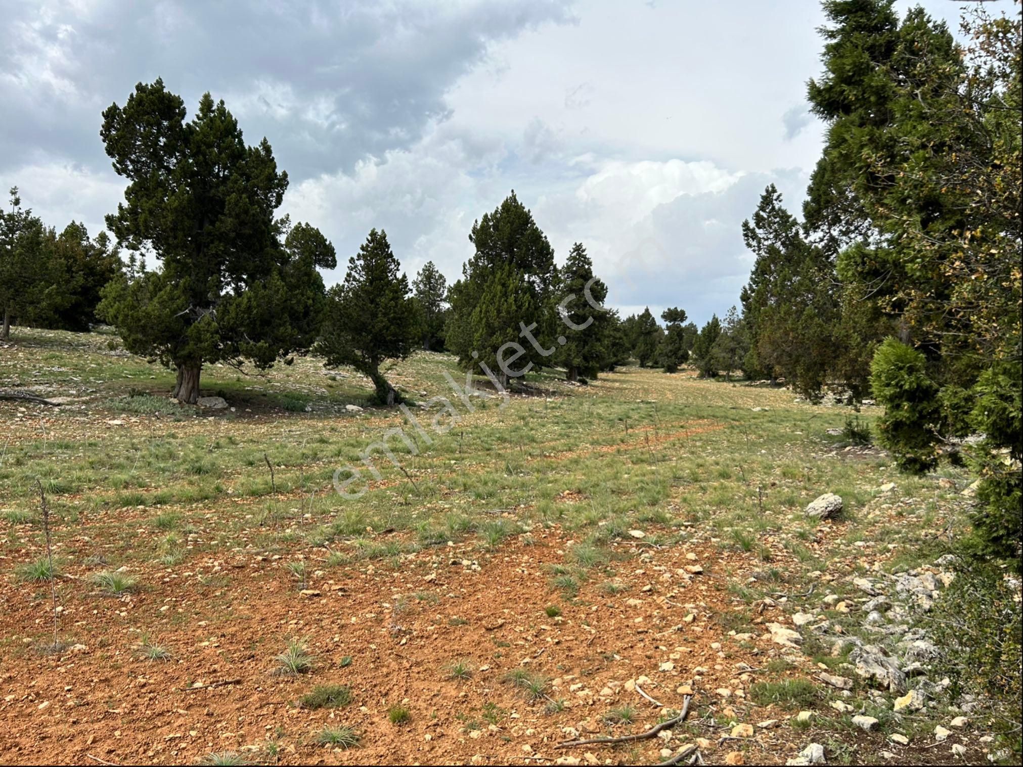 Güzeloluk Yolunda Avgadıya 5 Dk Mesafede 4300 M2 Yer - Görsel 14