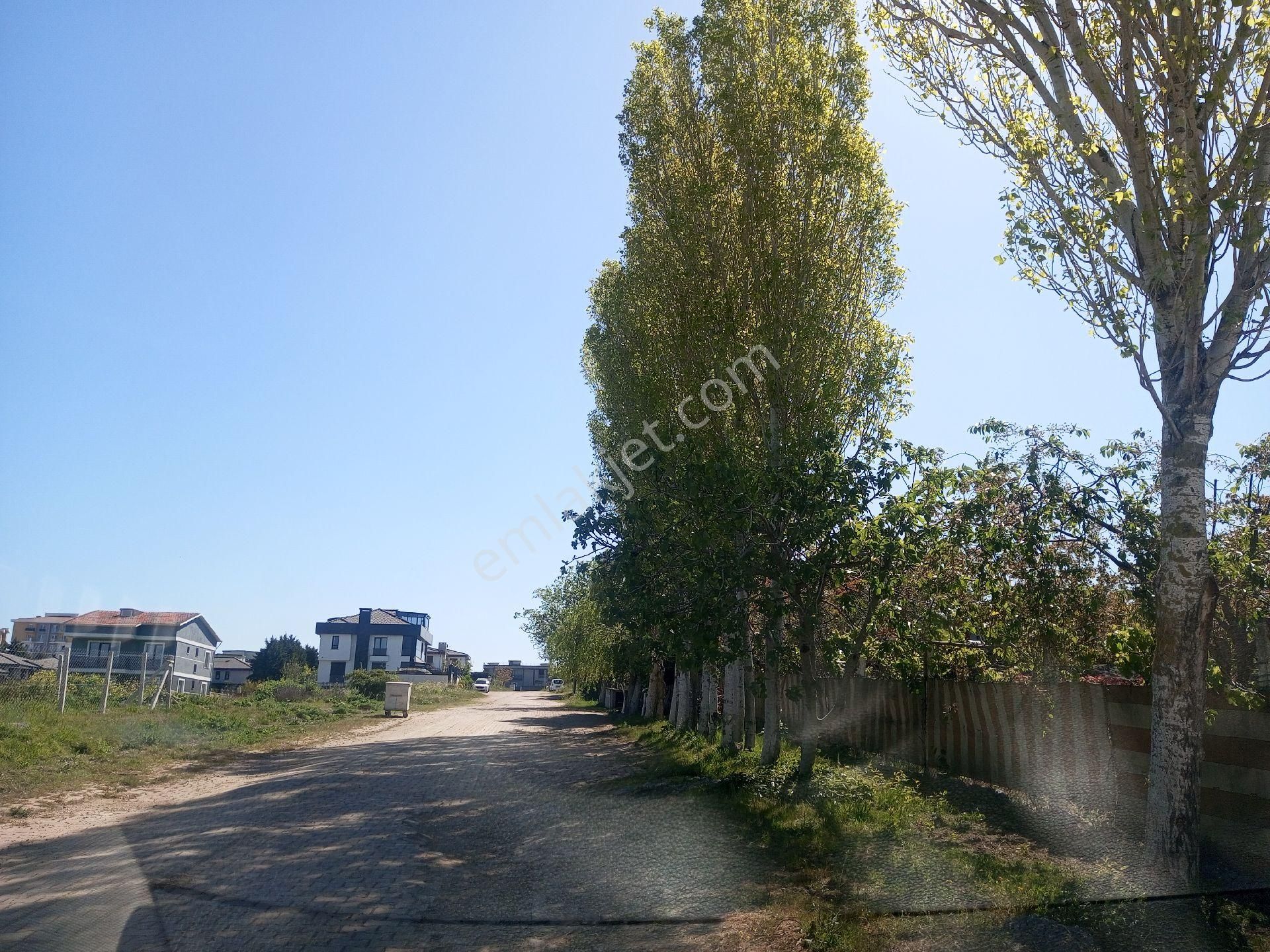 Ege Gayrimenkulden Silivride 500 M2 Arsa