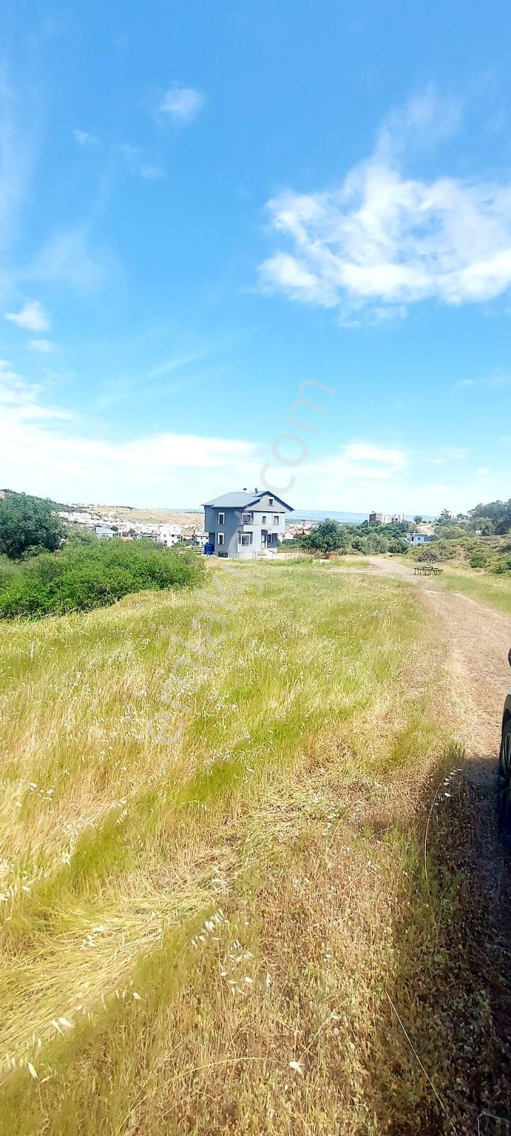 Ays Den Satılık Arsa - Görsel 5