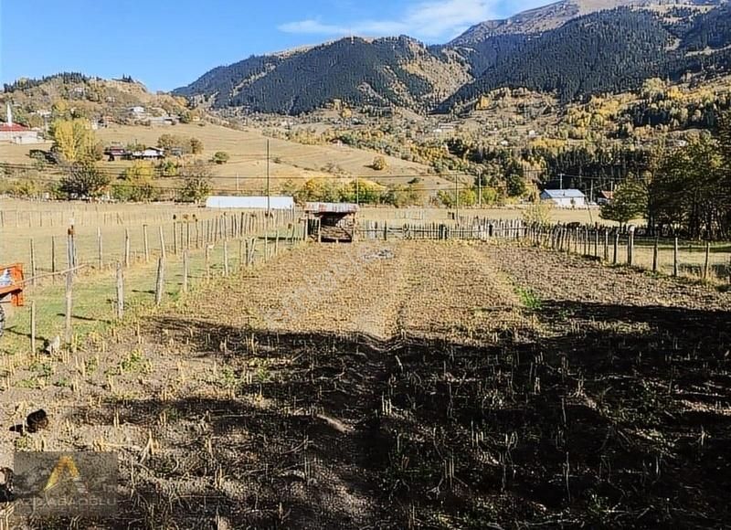 Yavuzköy'de 2.903 M2 Ve 0.40 İmarlı Satılık Kupon Arazi Fırsatı