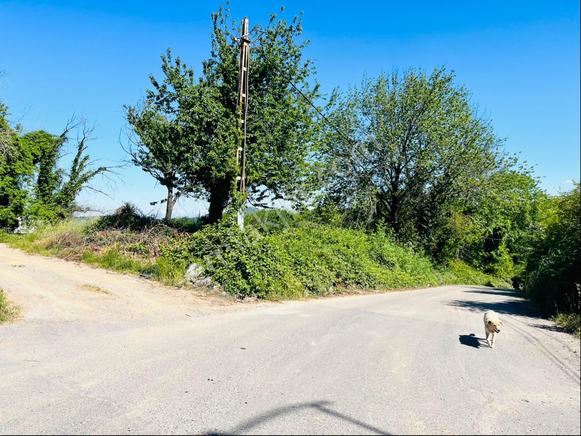 Çekmeköy Reşadiyede Yol Üstü Köşe Parsel - Görsel 6