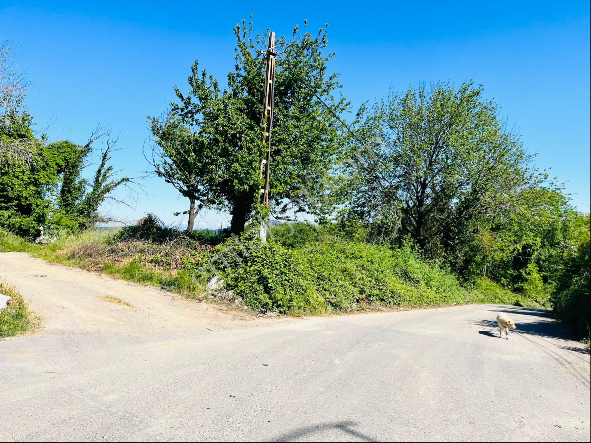 Çekmeköy Reşadiyede Yol Üstü Köşe Parsel