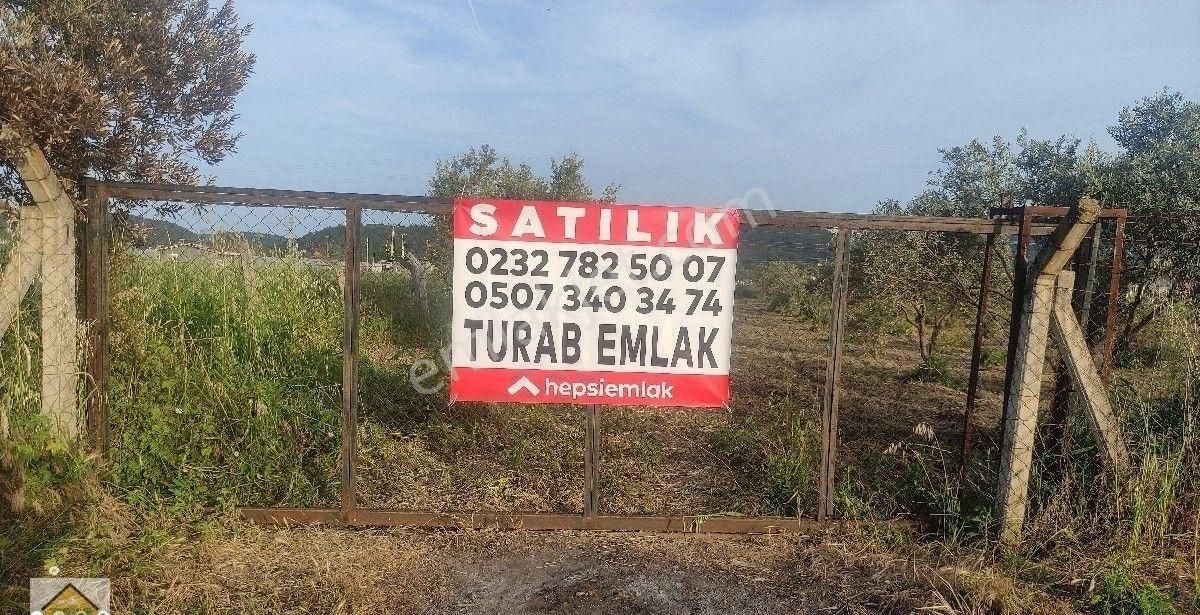 Menderes Değirmendere De Zeytinlik Arazi"turab"dan