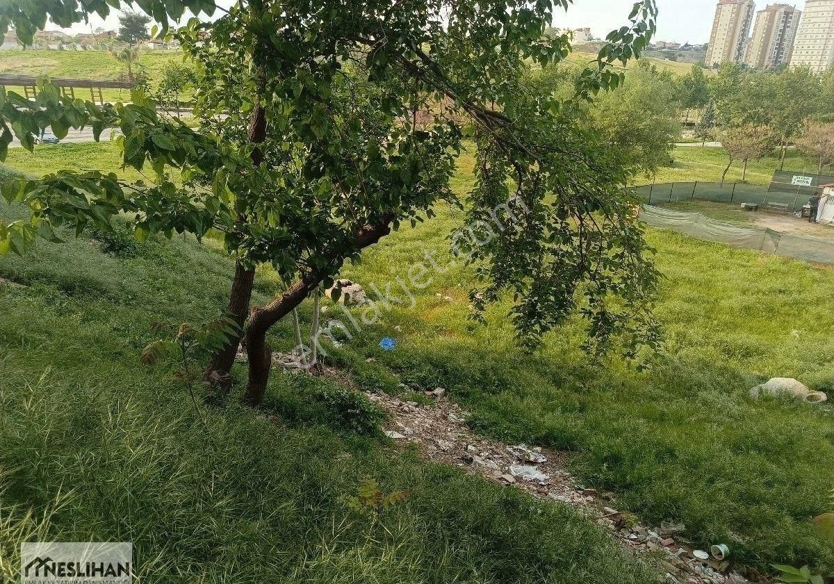 Aktepe/ege'nin İncisi Parkın İçin'de Müstakil Ev Yapımına Uygun İmarlı Arsalar Satılıktır