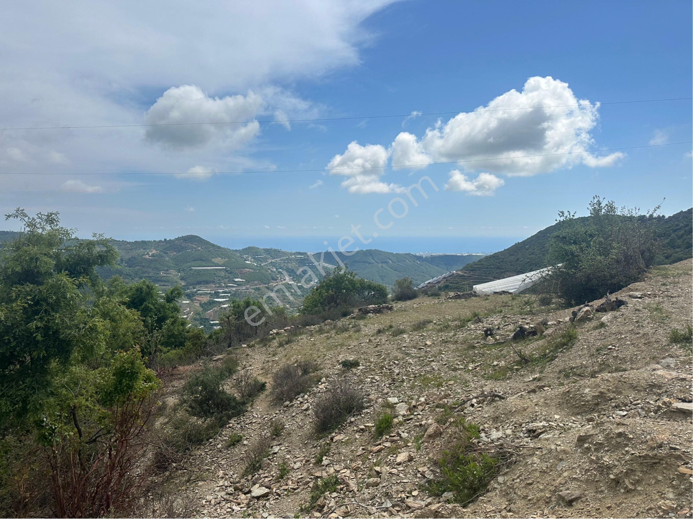 Alanya Güney Mah. Full Deniz Manzaralı 3.500m2 Satılık Tarla