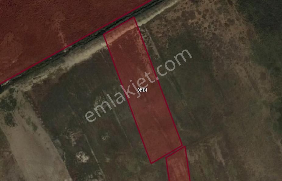Çifteler - Ortaköy'de Resmi Yolu Olan 7.000 M2 Tarla