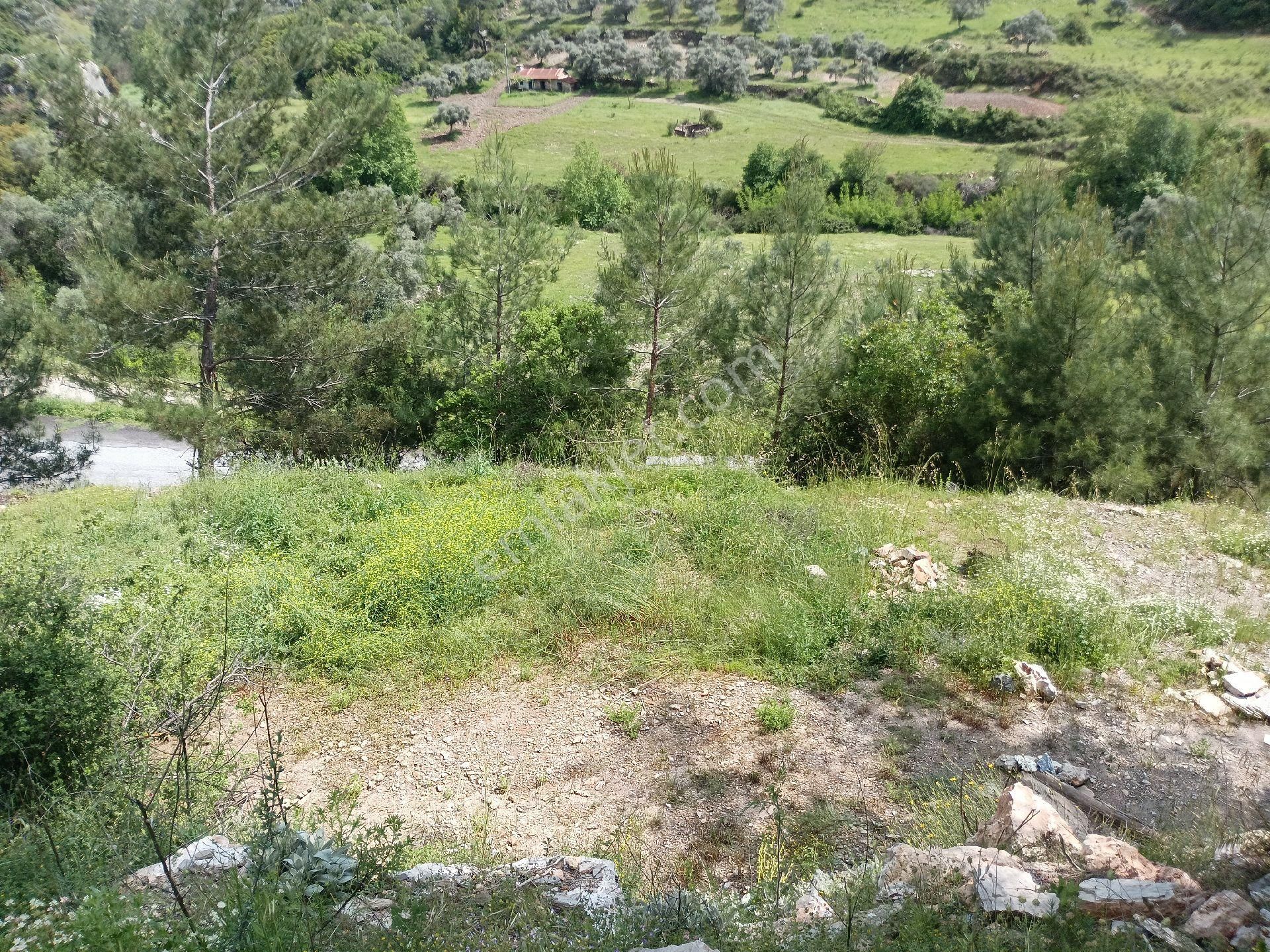 Dagpinar En Gözde Yerindekupon Tarla