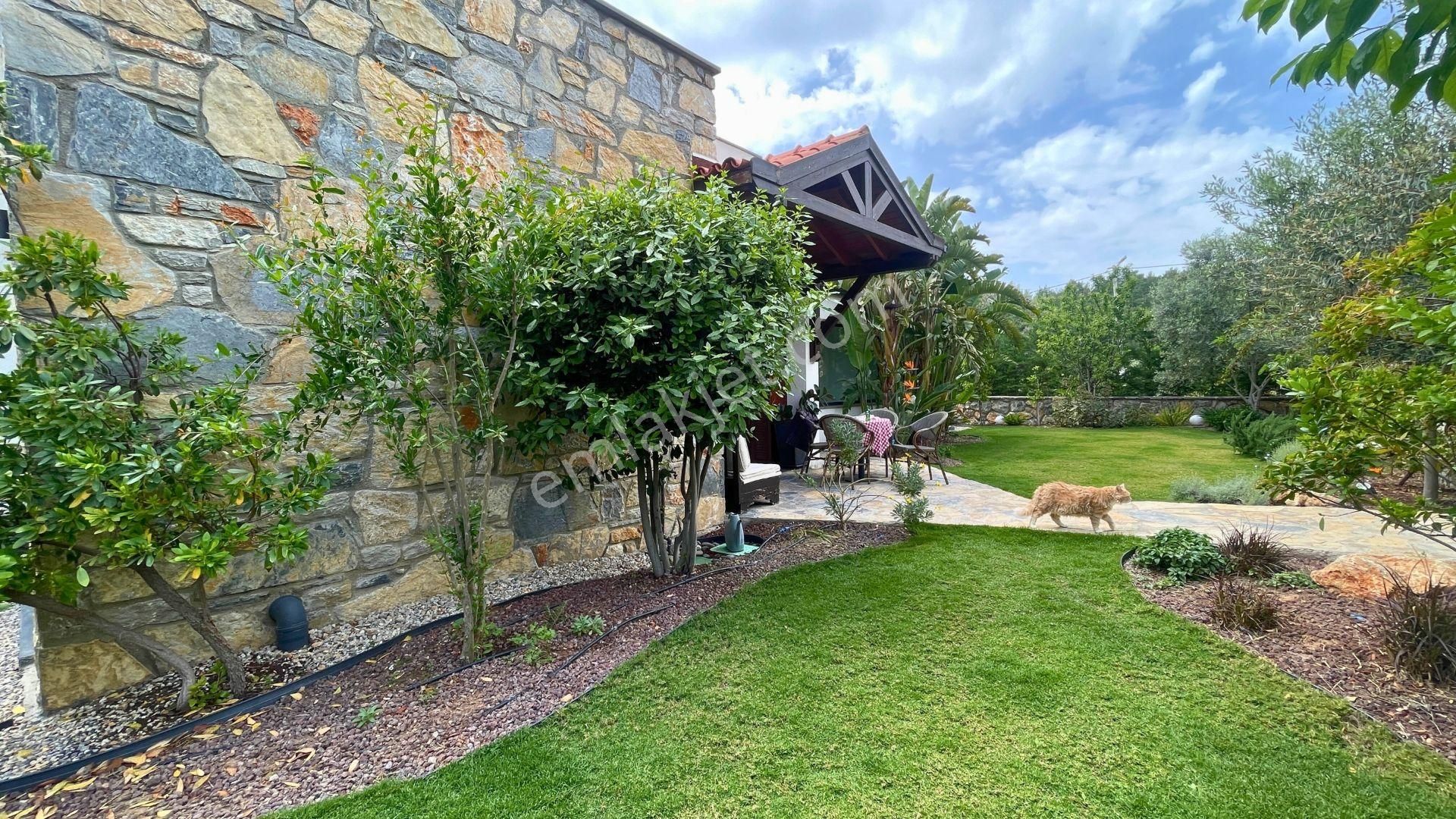 Yalıçiftlik' Te, Meyve Ağaçlarının Gölgesinde, Vadiye Bakan Huzurlu Bir Yaşam - Görsel 7