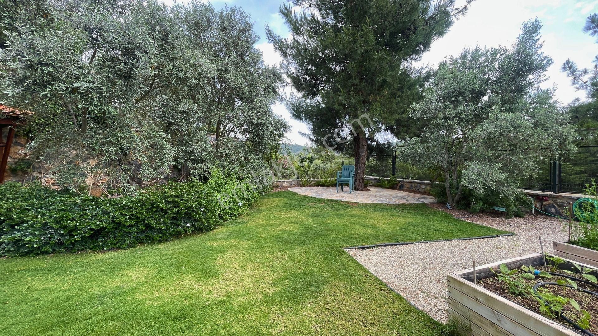 Yalıçiftlik' Te, Meyve Ağaçlarının Gölgesinde, Vadiye Bakan Huzurlu Bir Yaşam - Görsel 11