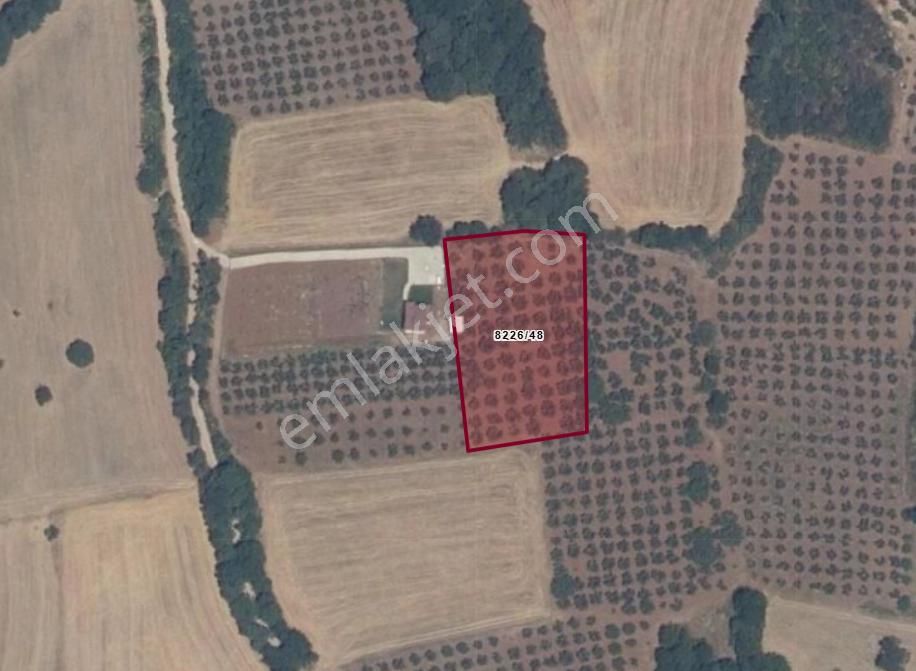 Akçalar'da 3.576 M2 Tek Tapu Yatırımlık Yer