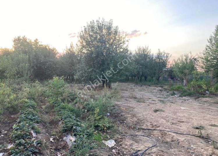 Bursa İnegöl Kurşunluda Satılık Tarla - Görsel 4