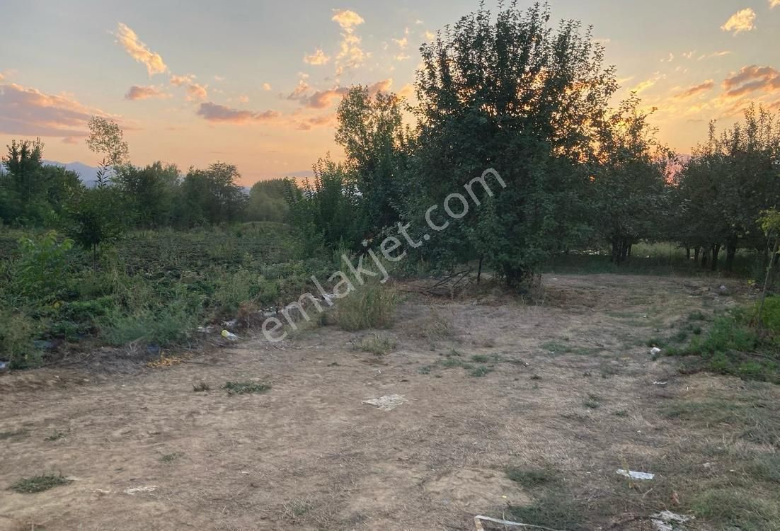 Bursa İnegöl Kurşunluda Satılık Tarla - Görsel 2