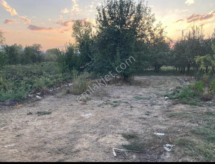 Bursa İnegöl Kurşunluda Satılık Tarla - Görsel 3