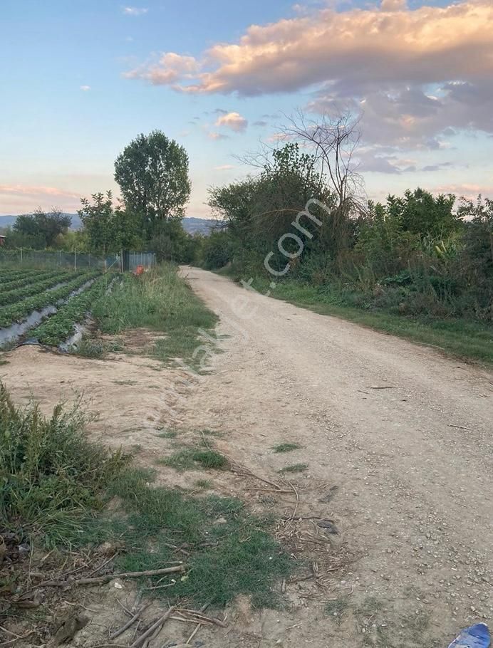 Bursa İnegöl Kurşunluda Satılık Tarla - Görsel 5