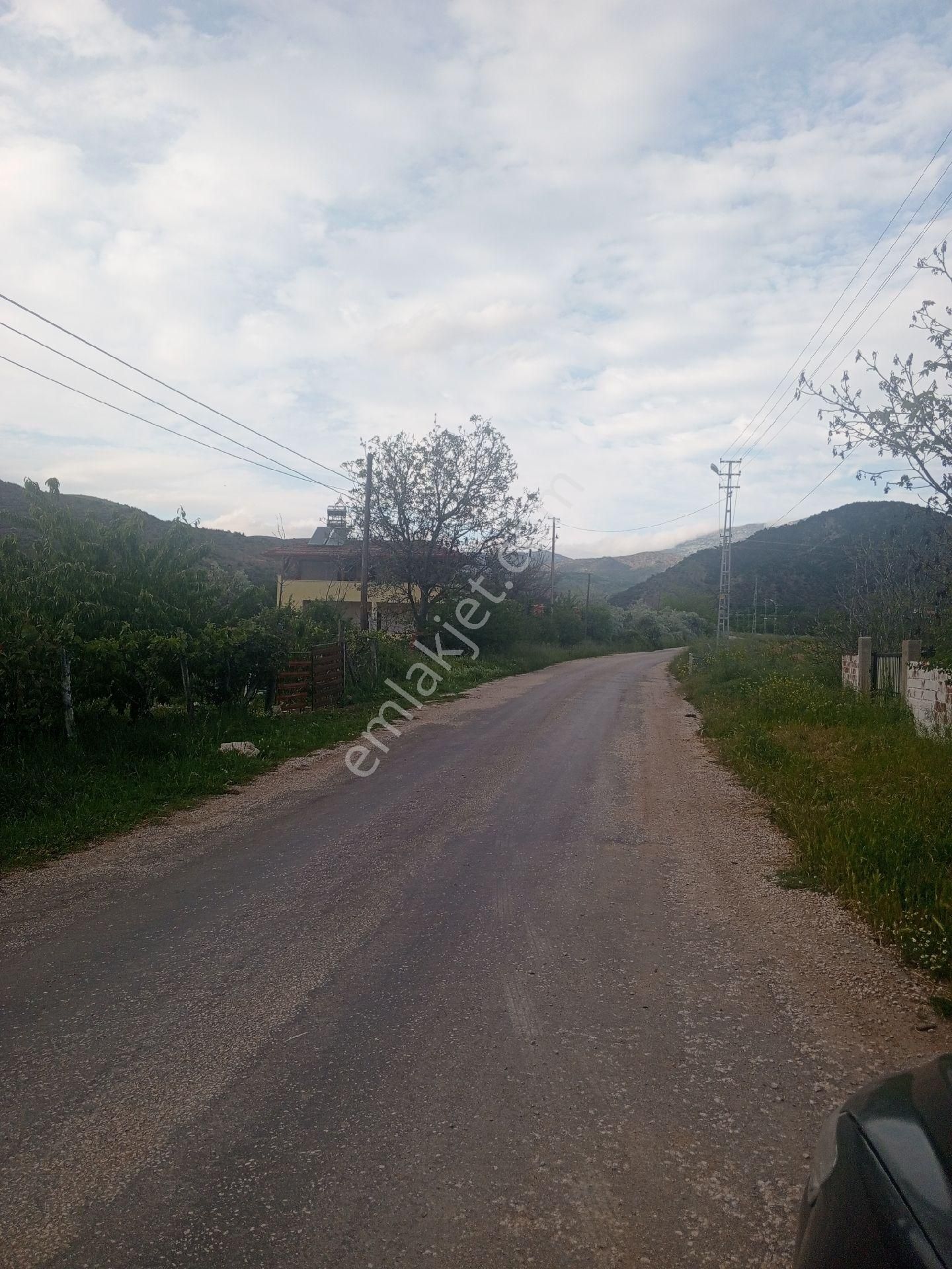Arsa Vvasfında